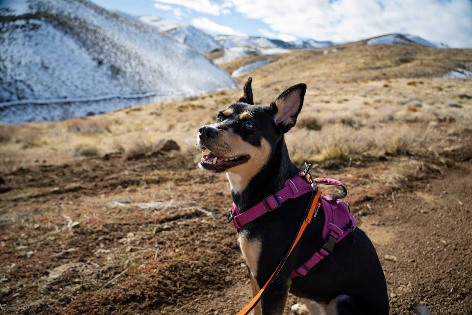 Erza at Horizon Hills