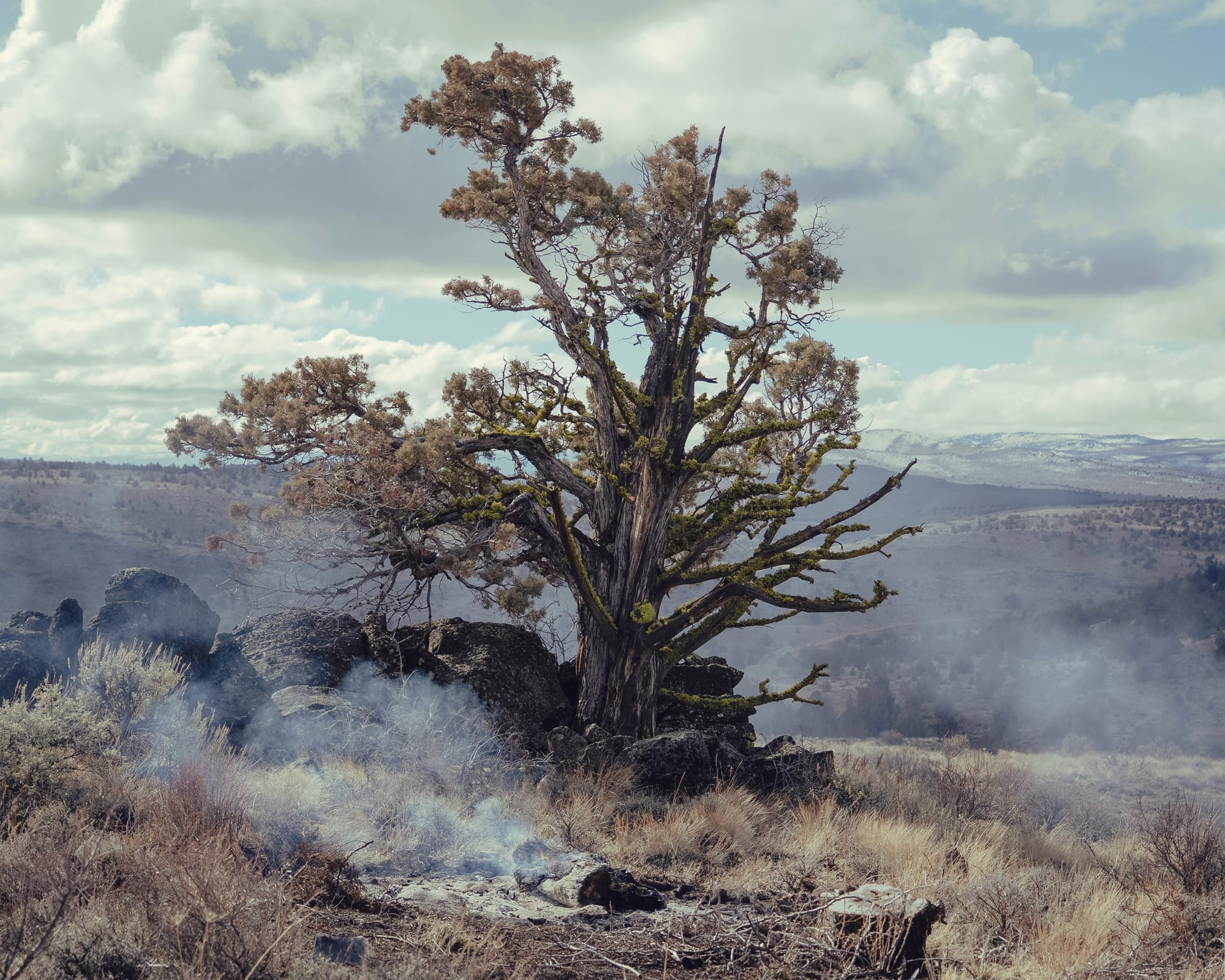 AI Guilt and the New Terminal